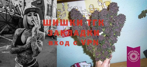 дмт Алексин