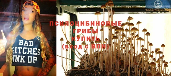 гашик Алзамай