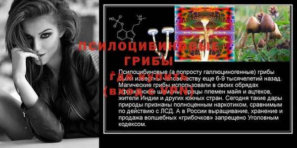 дмт Алексин