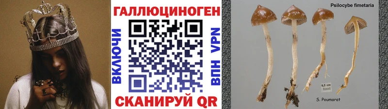 Купить где  Энгельс  Галлюциногенные грибы Magic Shrooms 